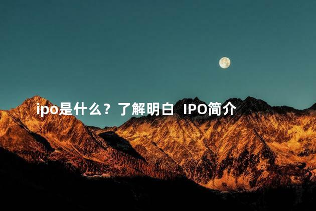 ipo是什么？了解明白  IPO简介  IPO的基本概念